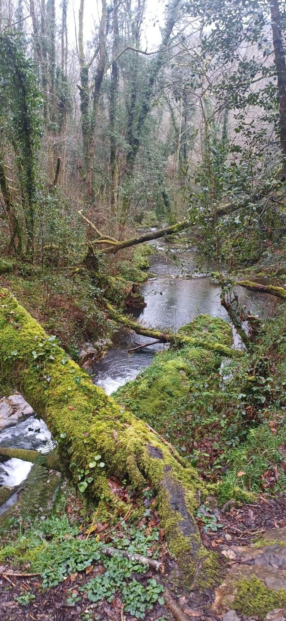 Affittacamere Casa Ria De Navia Esterno foto